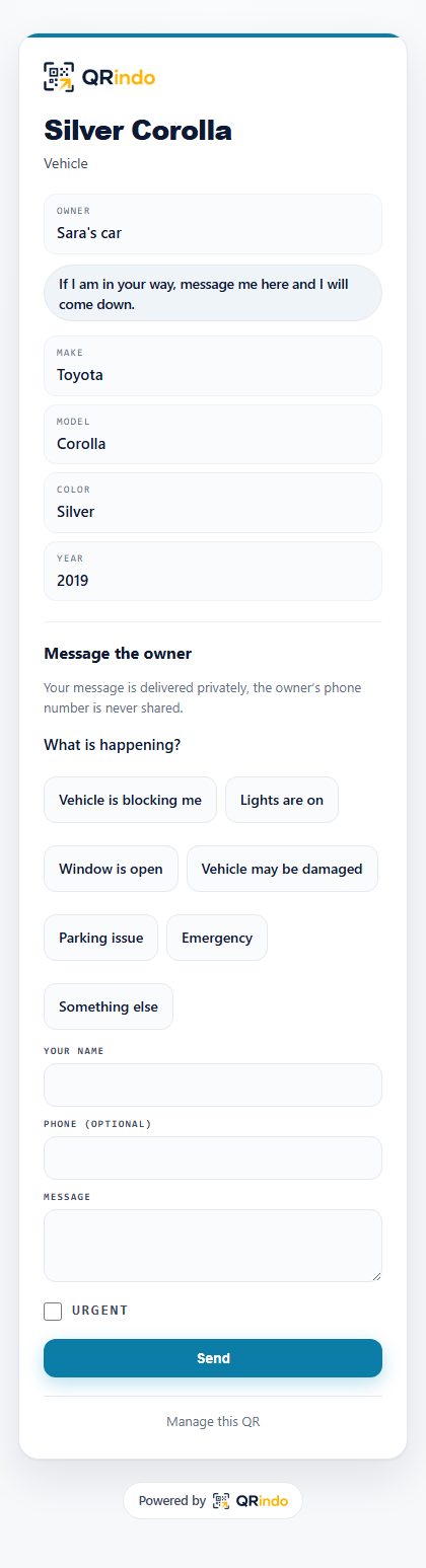 Classic: the vehicle page a scan opens, in this style